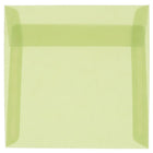 JAM Paper 5.5 x 5.5 Square Envelopes, Leaf Green Translucent Vellum, 50 Pack (1591908I)-Leaf green translucent envelope
