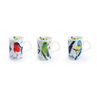 Roy Kirkham Lancaster Mug, Garden Birds, Set Of 6-ROY KIRKHAM Fine Bone China