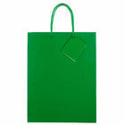 Jam Paper Glossy Gift Bags with Rope Handles - Large - 10" x 5" x 13" - Green - 100 Pack-Quantity: 100 per pack