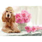 Millbrook Studios 5-3/8" x 7-3/4" Greeting Cards/Envelopes - 2043-Value Greeting Cards