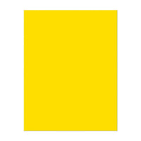 Pacon Card Stock, 8.5" x 11", Lemon Yellow, 100 Ct, 200 Pack (PAC101172)-Lemon yellow card stock