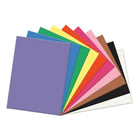 Pacon Sunwork Construction Paper, 9"X12", Assorted 100 Ct., 600 Pack (PAC6504)-Heavyweight paper package for arts & caft usage