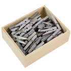 JAM Paper Wood Clothing Pin Clips, Small 7/8, Silver, 5 Packs of 50, 250 Total (230726887g)-Silver