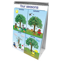 New Path Learning Weather & Sky Curriculum Mastery Flip Chart Set (NP-340024)-Ages 3 - 6 years and prek - 1st grade