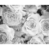 ohpopsi - Tapisserie murale Pétales gris-Imprimé sur non tissé