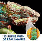 Educational Insights GeoSafari Jr. Kidscope - Multicolor-10