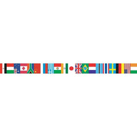 Teacher Created Resources International Flags Spotlight Border, 72 Pack-Classroom Decoration