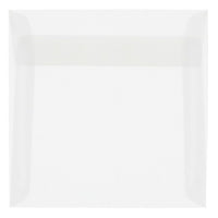 JAM Paper 8.5 x 8.5 Square Envelopes, Clear Translucent Vellum, 250 Pack (GTGN530H)-Clear translucent envelope
