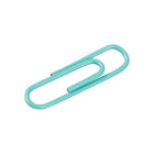 JAM Paper Coloured Standard Paper Clips, Small, Teal, 100 Pack (21832064)-These Colourful paper clips are great for organzing papers and documents at home, school, or the office!