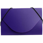 JAM Paper Plastic Business Card Case, Purple, 100 Pack (291618970B)-Purple