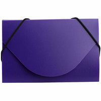 JAM Paper Plastic Business Card Case, Purple, 100 Pack (291618970B)-Purple