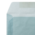 JAM Paper 9 x 12 Booklet Envelopes, Translucent Vellum Ocean Blue, 25 Pack (1592180)-Material: paper