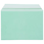 JAM Paper Cello Sleeves, A7, 5-1/16" x 7-3/16", Green, 100 Pack (2783135)-5-1/16" x 7-3/16"