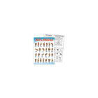 Trend Enterprises Sign Language Learning Chart, 10/Pack (T-38039)-Theme/design: Classroom