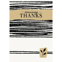 Millbrook Studios 5-3/8" x 7-3/4" Many Thanks Greeting Cards and Envelopes, 18 Pack (06796)-Printed on uncoated card stock