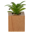 General Supply Goods + Co Faux Plant - Wood Base-Faux Succulent