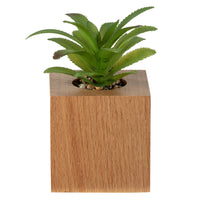 General Supply Goods + Co Faux Plant - Wood Base-Faux Succulent