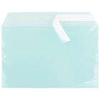 JAM Paper Cello Sleeves, A9, 5 7/16 x 8.63, Aqua Blue, 100 Pack (2784901)-Weight: 0.6 lbs