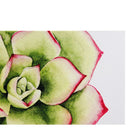 kieragrace KG Raccow Succulent Art - Set of 3, 12" x 12", and 12" x 26", Blue, Purple, White, Green and Yellow-5