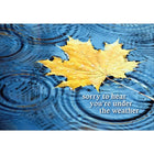 Aline Greetings Get Well Masculine, Maple Leaf on Water, sorry to hear you're under the weather, 18 Pack-Premium uncoated paper stock