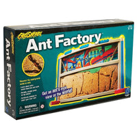 GeoSafari Ant Factory (5145)-Age group and grade: Ages 3 - 11 and grades pre school - 5th