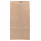 Jam Paper Kraft Lunch Bags - Medium - 5" x 9.75" x 3" - Brown Kraft Recycled - 25 Pack-Quantity: 25/pack