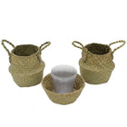 Cathay Importers Seagrass Basket with PVC Hard Liner, Natural, 3 Pack (EC-08-1943)-Traditional seagrass weaving