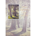 Rosedale 5-1/2" x 8" Loss Of Pet Sympathy Greeting Cards And Envelopes, 12 Pack (17535)-Printed on premium uncoated card stock