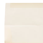 JAM Paper A10 Invitation Envelopes, 6 x 9.5, Spring Ochre Ivory Translucent Vellum, 250 Pack (PACV850H)-Paper Weight: 30 lbs.