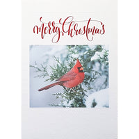 Rosedale "Merry Christmas" Bird Greeting Cards with Envelopes - 5-1/2" x 8" - 12 Pack-Greeting Cards