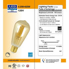 Northern Stars 5W Amber LED ST64 Light Bulb, 10 Pack-5W, 120V