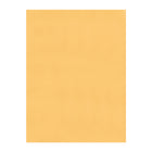 Staples Catalogue Envelopes with Gummed Flaps - 9" x 12" - Kraft - 100 Pack-Heavily gummed flap for a moisture-activated, secure seal