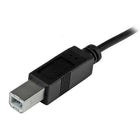 StarTech USB-C to USB-B Cable, M/M, 6.6 ft (USB2CB2M)-Thunderbolt 3 port compatible