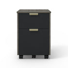 Whalen Timbercrest Collection File Cabinet-2 Storage Drawers with Sandy Champagne Pulls