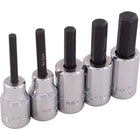 Gray Tools 5 Piece 3/8" Drive Metric, Standard Length Hex Head Socket Set, 4mm-10mm-Contains Sizes: 4, 5, 6, 8, 10mm.