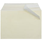JAM Paper Cello Sleeves, A7, 5 1/16 x 7 3/16, Yellow, 100 Pack (2783139)-Weight: 0-1/2 lbs