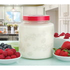 Euro Cuisine GY85 2 QT Glass Jar for Yogurt Maker, Clear-BPA Free lids