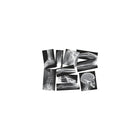 Roylco Broken Bones X-Rays-Age group and grade: Ages 5+ and grades pre school - 12th
