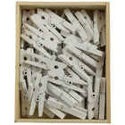 JAM Paper Wood Clothing Pin Clips, Medium, 1 1/8, White, 5 Packs of 50, 250 Total (2230719109g)-Material: Wood