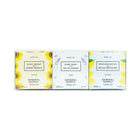 General Supply Goods + Co Tealish Wellness Tea Trio-This tea trio is designed to give you a boost at three key points in the day. Delicious Detox green tea in the morning, Good Energy in early afternoon, and Sleep Fairy in the evening before bed