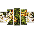 Designart Baby Beagles, Dog Animal Canvas Art, (PT2455-373)-Print