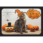 Millbrook Studios 5-3/8" x 7-3/4" Greeting Cards/Envelopes - 25210-Value Greeting Cards