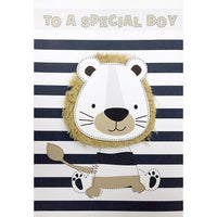 Rosedale 5-1/2" x 8" Boy Birthday Greeting Cards And Envelopes, 6 Pack (19773)-Printed on premium uncoated card stock