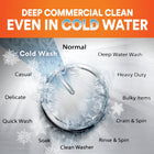 Tide Professional Laundry Detergent - 129 Loads-A Deep Commercial Clean - Even in Cold Water 