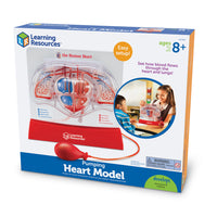 Learning Resources Pumping Heart Model-Age group and grade: Ages 8 - 12 and grades 3rd - 7th