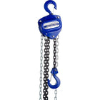 Gray Tools Chain Hoist 5 Ton, 20ft Lift, 20ft Drop-Lifting capacity (tons): 5.0