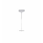 Eddie's Tagging Barbs/ Fasteners For Standard Tag Guns - 1" - Clear - 5,000 Pack-Tagging Barbs/Fasteners For Standard Tag Guns