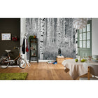 Komar Birch Forest Wall Mural, White-Paste not included