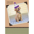 Millbrook Studios 5-3/8" x 7-3/4" Happy Happy Birthday Greeting Cards and Envelopes, 18 Pack (06149)-Printed on uncoated card stock