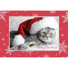 Rosedale 5-1/2" x 8" Greeting Cards/Envelopes - 36273-Value Greeting Cards